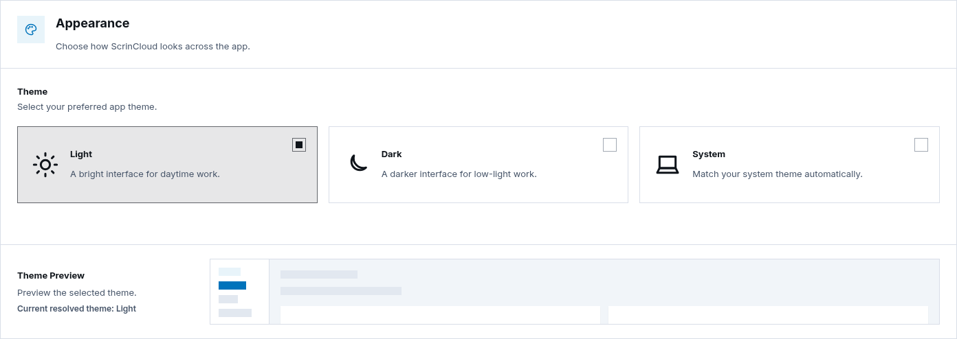Appearance settings form with the saved Light theme selected and its resolved preview